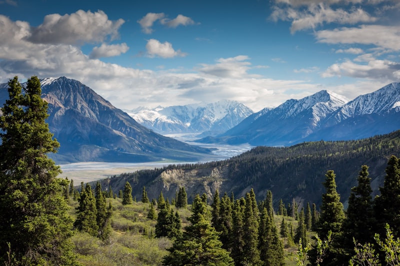 Mindfulness and meditation setting in nature